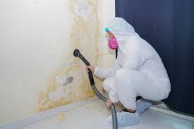 Best Forensic Mold Investigation  in Arche, OK